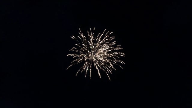 Raptor Display Quality Rocket by Kimbolton Fireworks - Green and Silver Willow