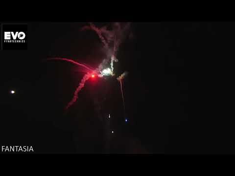 Fantasia by Evo Pyrotechnics