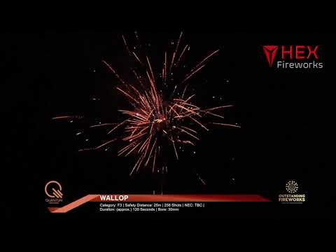 Wallop Firework Compound Wallop by Outstanding Fireworks - 256 Shots in 120 Seconds – HEX ...