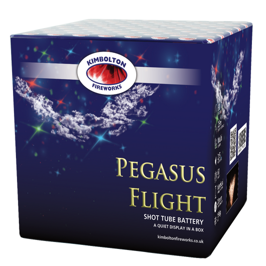 Pegasus Flight by Kimbolton Fireworks